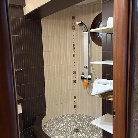 Petrino * פאטרה